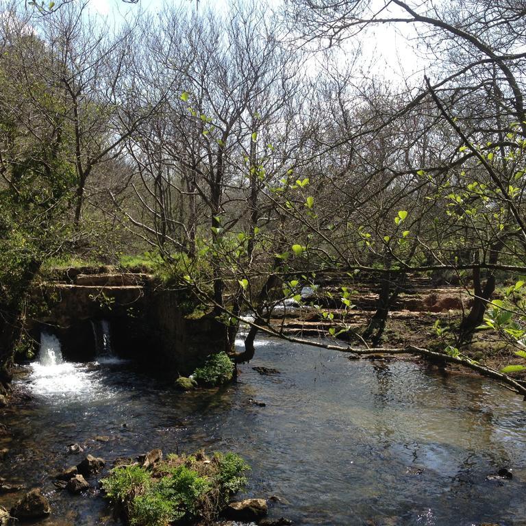 Trisileja En Puente Romano Tonanes Luaran gambar